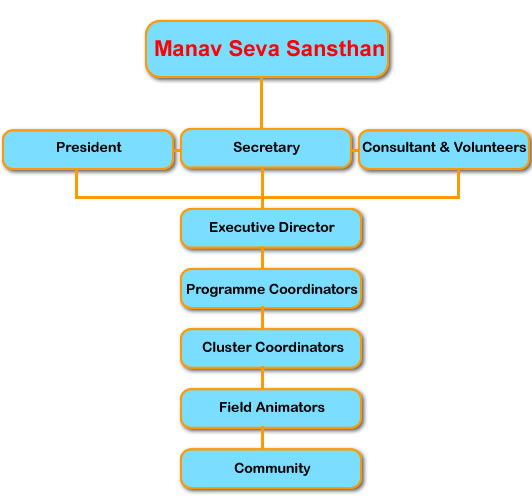 organisational structure
